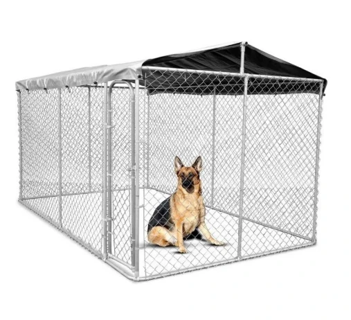 The Best Metal Cages-- Durable, Stylish, And Functional