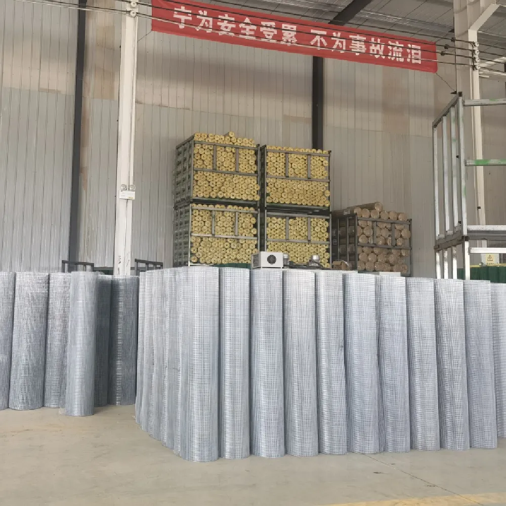 Electro Galvanized Welded Wire Mesh: A Superior Choice for Modern Construction