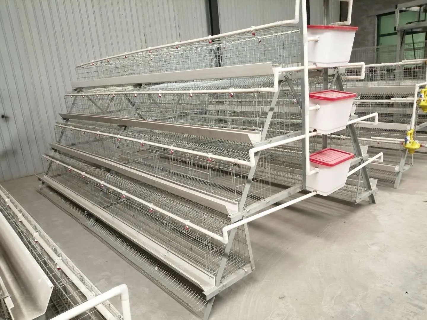 Revolutionizing Poultry Farming with Innovative Chicken Cages