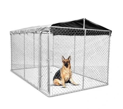 The Best Dog Kennels for Your Furry Friend