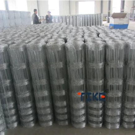 Cattle Farm Fencing Solutions for Maximum Security