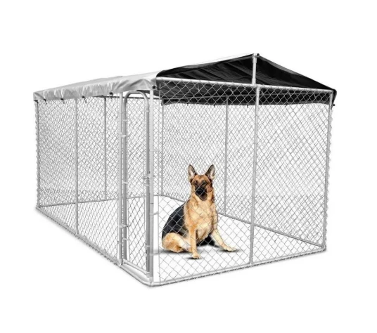 Find the Perfect Dog Kennel for Your Pet