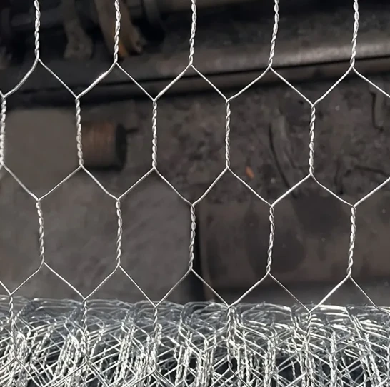 white cattle fence