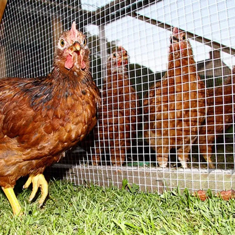 plastic coated metal mesh